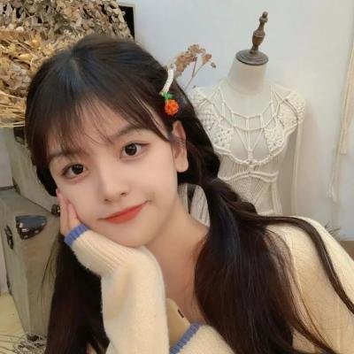 纽顿布鲁克镇